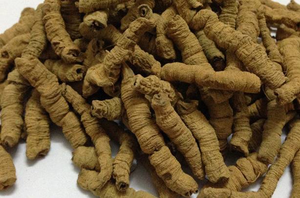 巴戟天的作用和功效，深入解析傳統中藥材的魅力，巴戟天的功效與作用，揭示傳統中藥材的奧秘與魅力