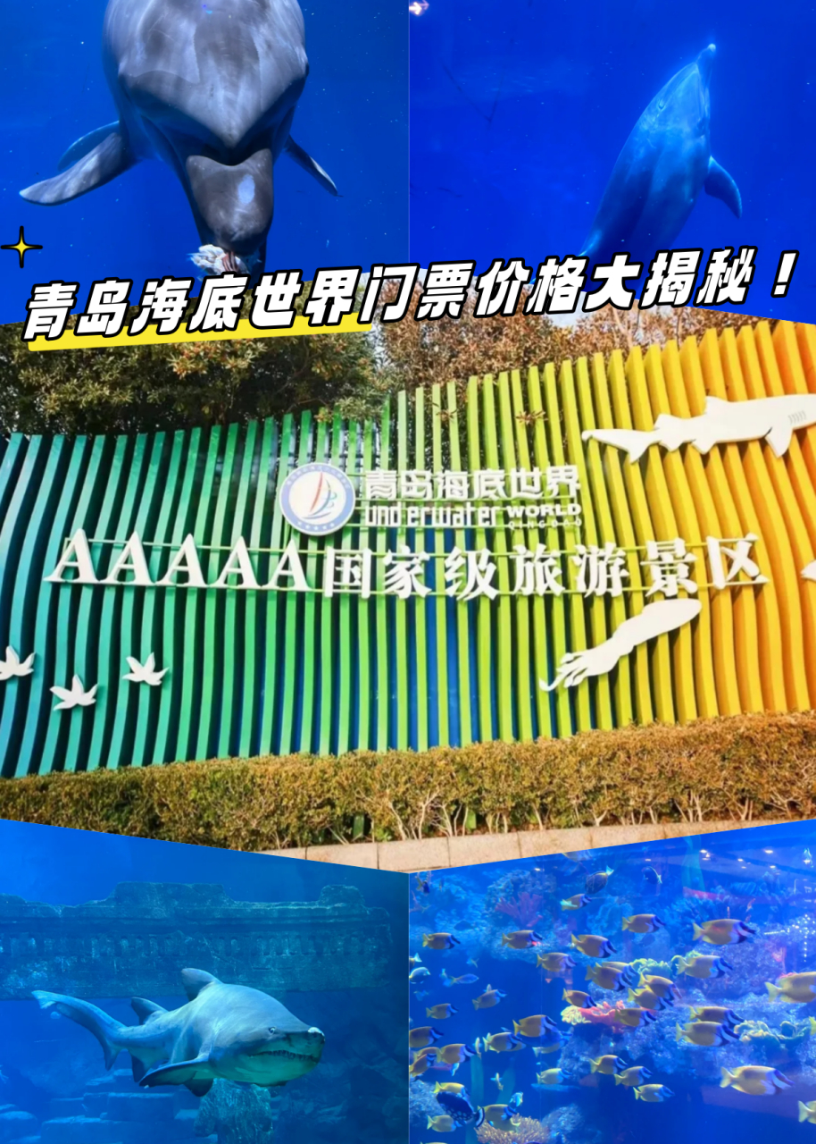 青島海底世界門票是否免費？一篇文章帶你了解全部信息，青島海底世界門票全面解析，免費與否？一篇文章告訴你答案！
