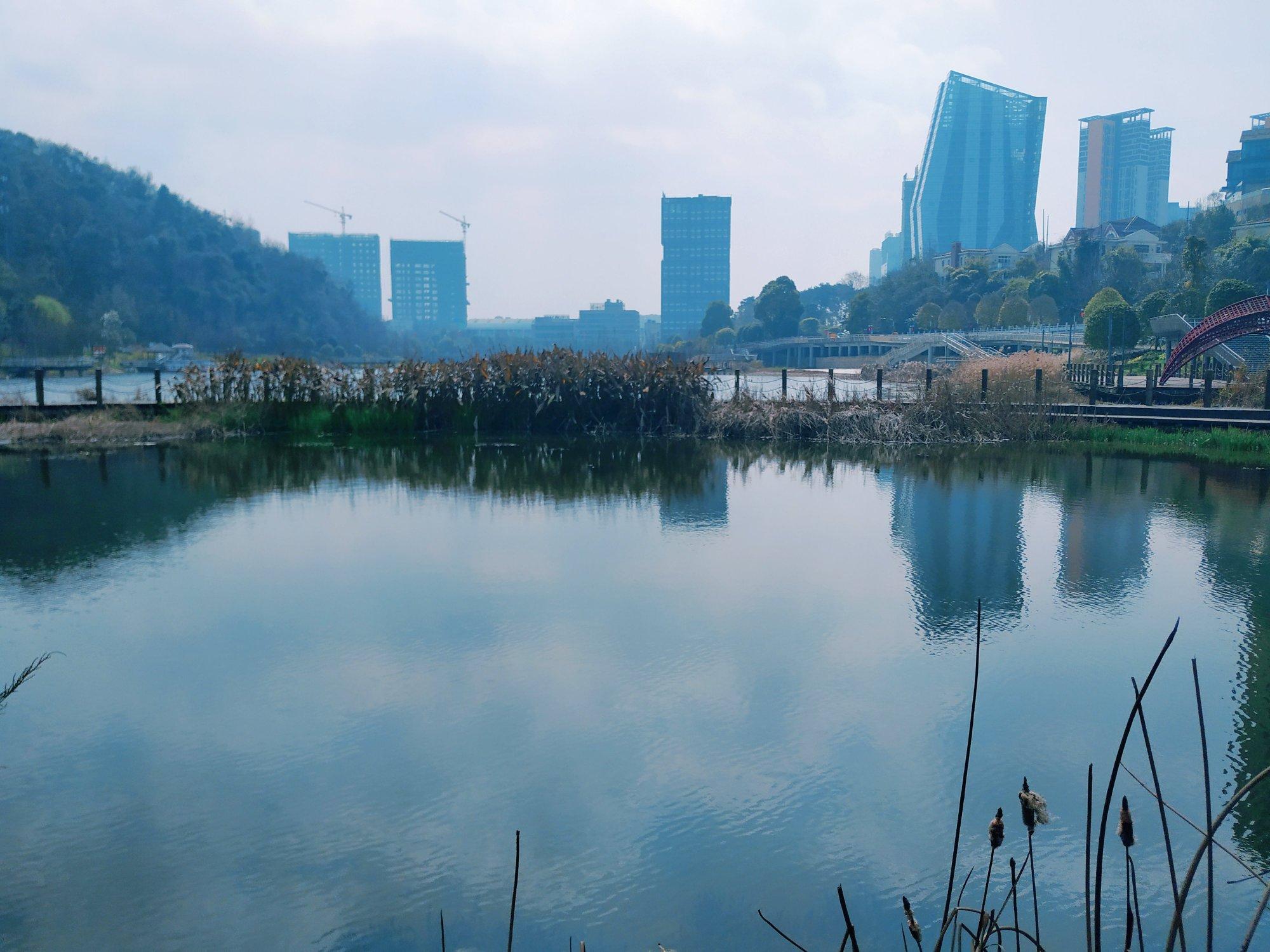 貴陽天氣未來15天查詢及詳細分析,貴陽未來15天天氣預報及詳細分析