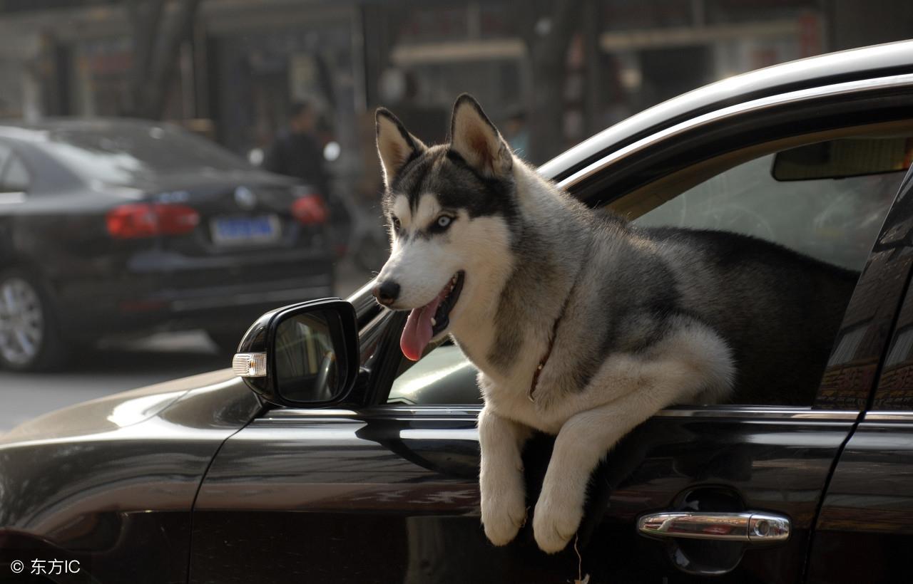 今晚九點三十分特馬開彩盛宴，揭秘彩票背后的秘密！，揭秘彩票背后的秘密，今晚九點三十分特馬開彩盛宴！
