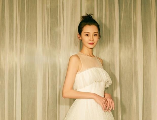 苗苗演過的電視劇,演藝之路的璀璨之星,苗苗演藝之路,電視劇中的璀璨之星