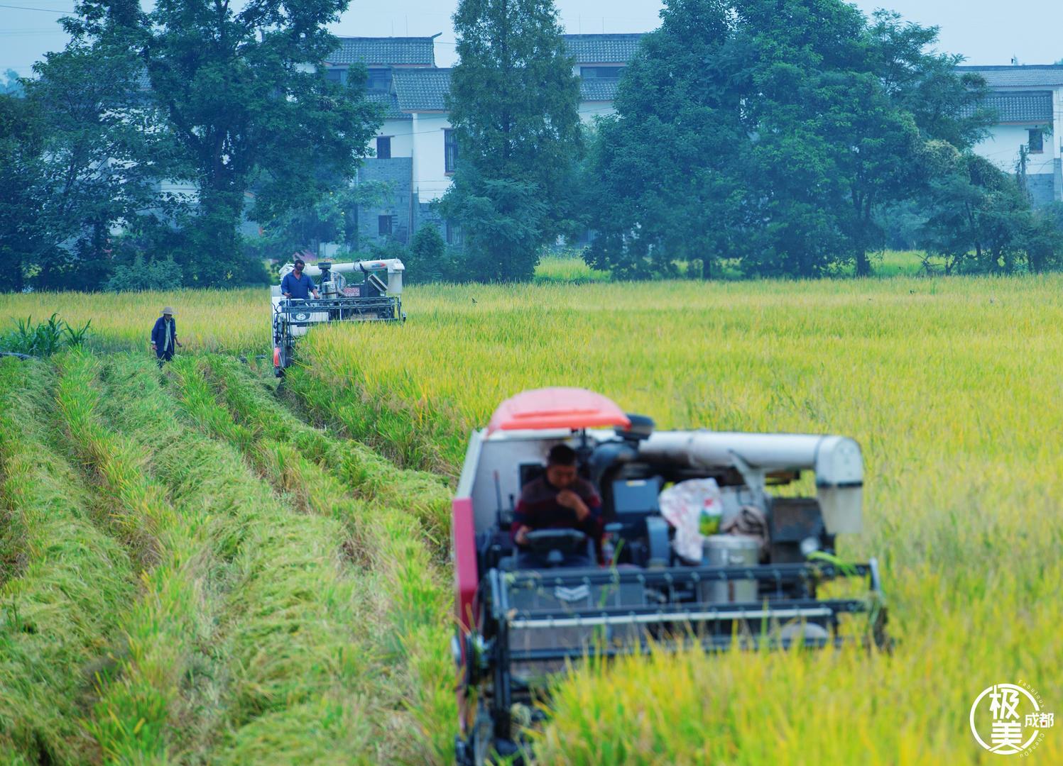 2025精準資料免費大全——一站式獲取你所需要的信息,2025精準資料免費大全,一站式獲取全方位信息