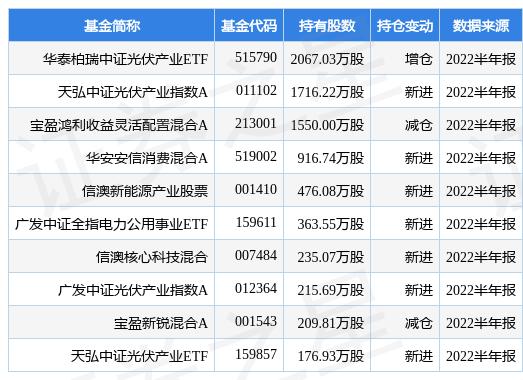 吉電股份股票股吧,深度解析與前景展望,吉電股份股票股吧深度解析及前景展望