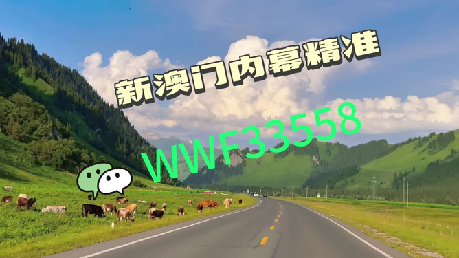 王中王一肖一馬,揭秘免費中特之秘,揭秘王中王一肖一馬,免費中特背后的秘密