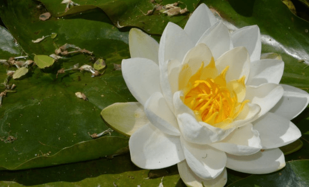 彩票背后的秘密