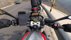 王中王310期指一生肖——揭秘生肖運勢與人生軌跡，揭秘生肖運勢與人生軌跡，王中王310期指一生肖探討返回頂部