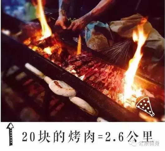 王中王313期指一生肖——揭秘生肖運(yùn)勢與人生軌跡的獨(dú)特聯(lián)系，揭秘生肖運(yùn)勢與人生軌跡的獨(dú)特聯(lián)系，王中王313期指一生肖詳解