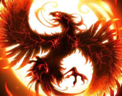 王中王精準一肖中鳳凰,揭秘預測之謎,揭秘王中王精準預測一肖中鳳凰的奧秘