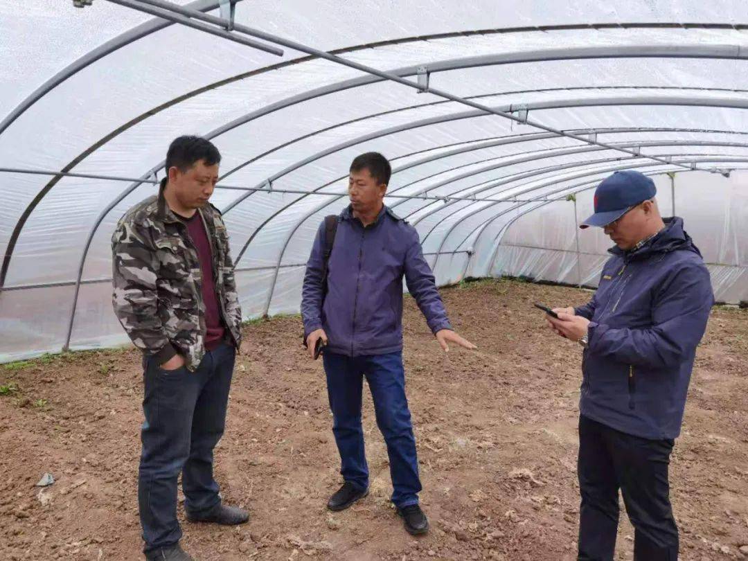 新澳門王中王100%期期中——揭秘彩票秘密,掌握中獎(jiǎng)之道,揭秘新澳門王中王彩票中獎(jiǎng)秘訣,掌握中獎(jiǎng)之道,期期中!