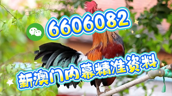 澳門特馬今天開獎結果，揭秘彩票背后的秘密，澳門特馬今天開獎結果揭秘，彩票背后的秘密大揭曉