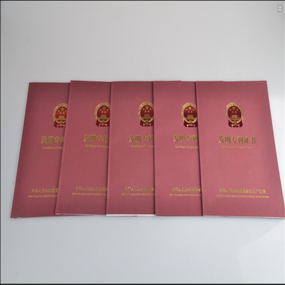 澳門王中王最快開獎結果2017年回顧與展望，澳門王中王開獎結果回顧與展望，2017年回顧與未來展望