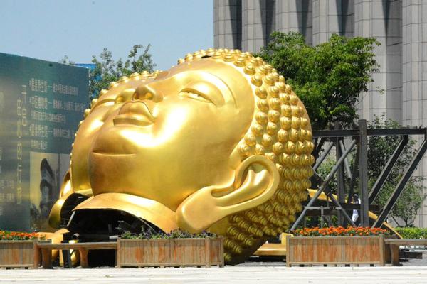 王中王肖四不像肖一肖特,深度解讀背后的故事與奧秘,王中王肖四不像肖一肖特,背后的故事與奧秘深度解讀