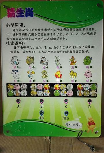 王中王猜一生肖，揭秘生肖文化中的奧秘與趣味，揭秘生肖文化之奧秘趣味，王中王猜一生肖探索之旅