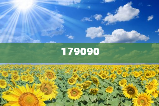 揭秘未來(lái)之星，2025新澳王中王，揭秘未來(lái)之星，2025新澳王中王風(fēng)采展示