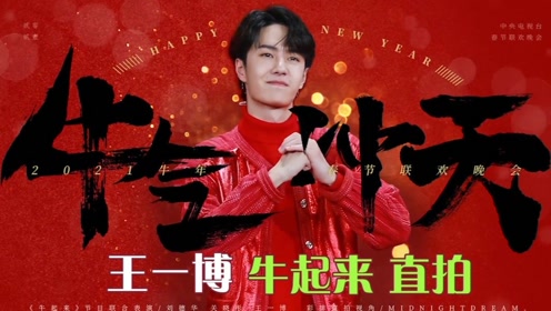 王中王一肖中特141，揭秘背后的故事與奧秘，揭秘王中王一肖中特141背后的故事與奧秘