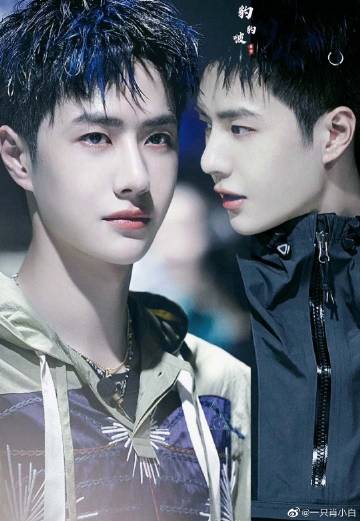 王中王一肖資料解析，一肖特的獨特魅力，王中王一肖資料深度解析，一肖特的獨特魅力探究