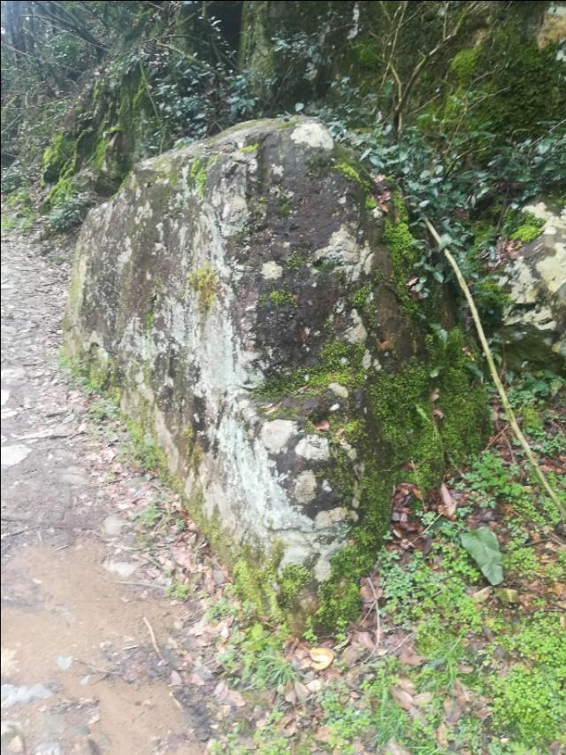 揭秘劉伯溫,預測命運與生肖并非必然聯系——關于劉伯溫回不像必中一肖的思考,揭秘劉伯溫,命運預測與生肖非必然聯系之思考