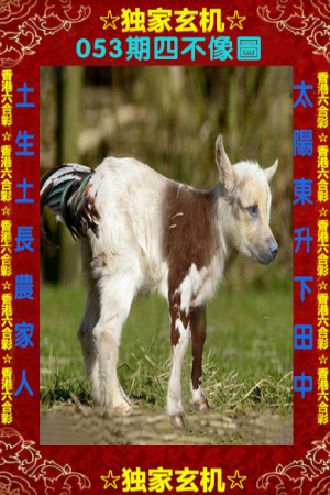 王中王四不象一肖中特,揭秘生肖運勢與神秘預測,揭秘生肖運勢與神秘預測,王中王四不象一肖中特揭曉秘密