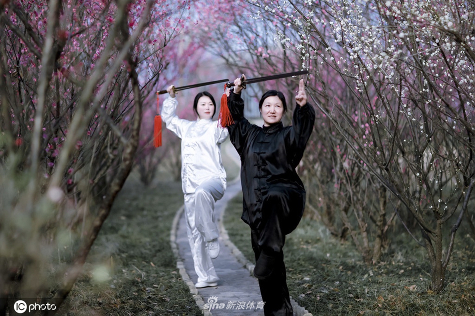 揭秘劉伯溫一期一肖期期中的奧秘與真相,劉伯溫一期一肖期奧秘與真相揭秘