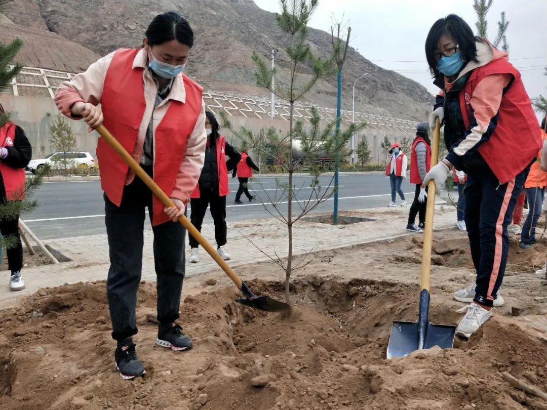 天下彩天天空彩資料免費大全管家,探索與解析,天下彩天天空彩資料大全管家,深度探索與解析
