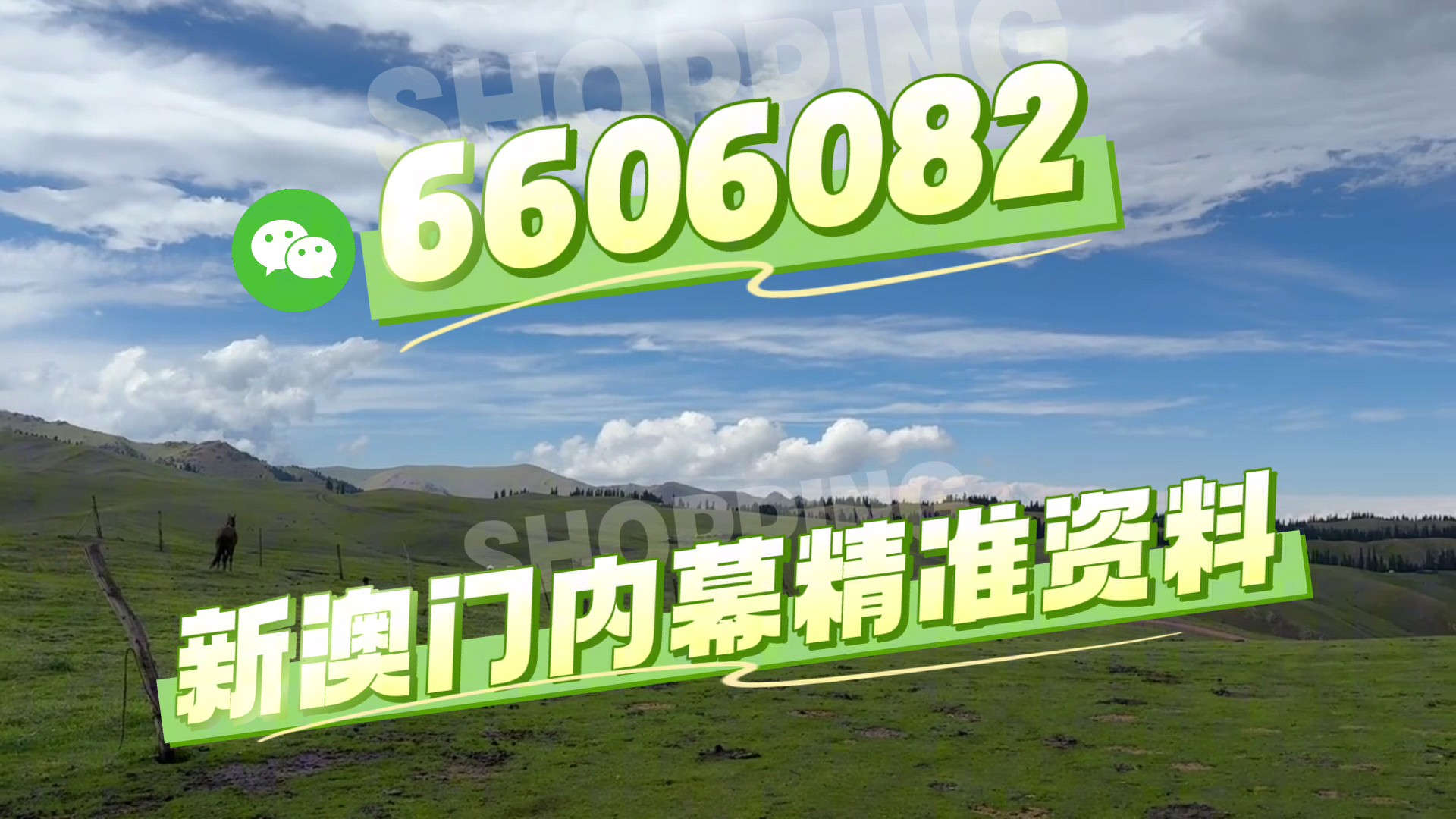 最快澳門今晚必中一肖一碼2025王中王開獎十,揭秘彩票背后的秘密與策略,揭秘彩票背后的秘密與策略,澳門今晚必中一肖一碼王中王開獎預測(2025年)