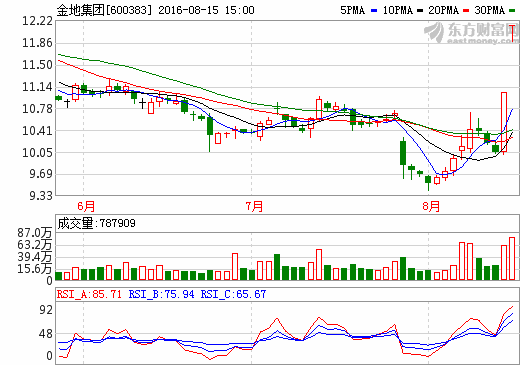 關于600383的最新消息全面解析,600383最新消息全面解析