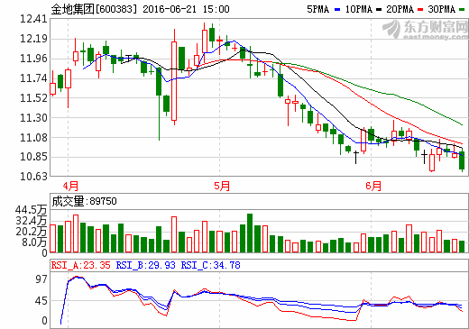 關于600383的最新消息全面解析,600383最新消息全面解析