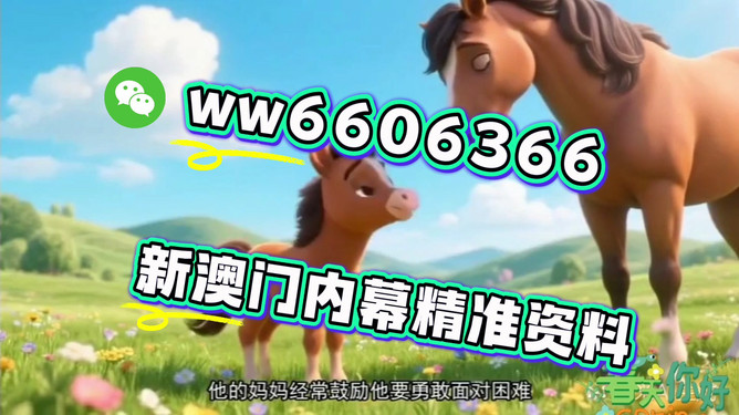 澳門十二生肖圖片大全，迎接嶄新的2025年，澳門十二生肖圖片大全迎新春2025年