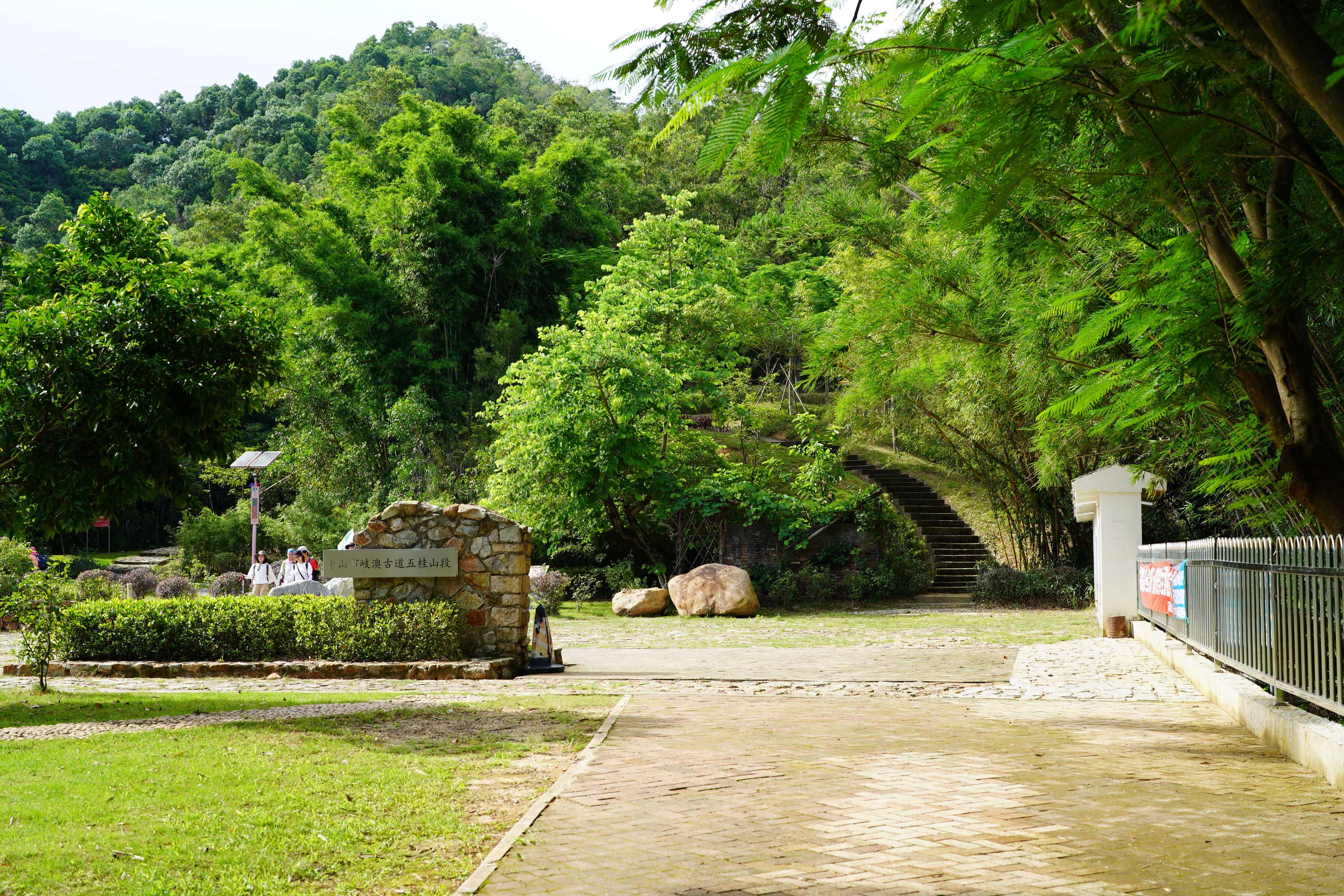 新奧門彩出號綜合走勢分析,新奧門彩出號綜合走勢解析