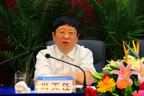 王中王資科一肖中持天，深度解析與SEO優化策略，王中王資科一肖中持天深度解析與SEO優化策略探討