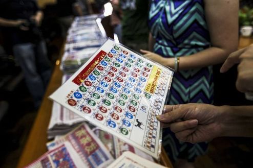 王中王的一肖中特馬——探尋背后的奧秘與魅力,王中王一肖特馬背后的奧秘與魅力探尋