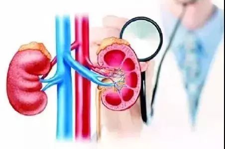 尿酸水平升高與腎臟健康,尿酸460是否意味著腎臟已經(jīng)受損?,尿酸水平升高與腎臟健康關(guān)系解析,尿酸460是否預(yù)示腎臟受損?