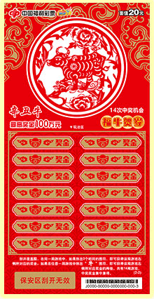 揭秘2020王中王平特一肖的神秘面紗，揭秘王中王平特一肖，神秘面紗下的真相