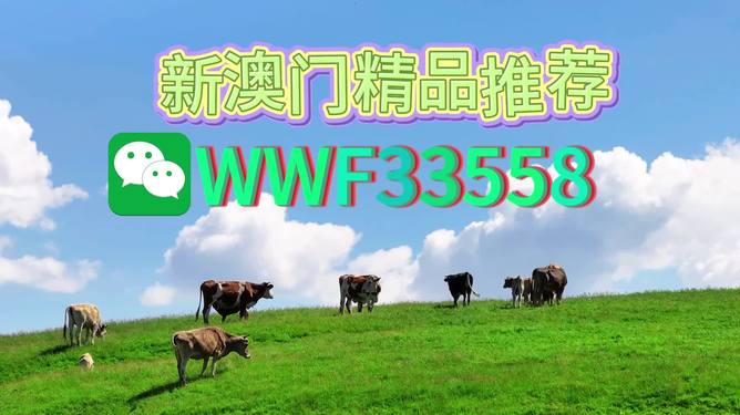 揭秘今晚9點30生肖運勢,你的生肖運勢如何?,揭秘今晚9點30生肖運勢,你的生肖運勢走向如何?