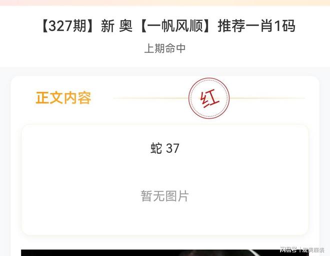 新澳內部碼網址,探索與解析,新澳內部碼網址深度解析與探索