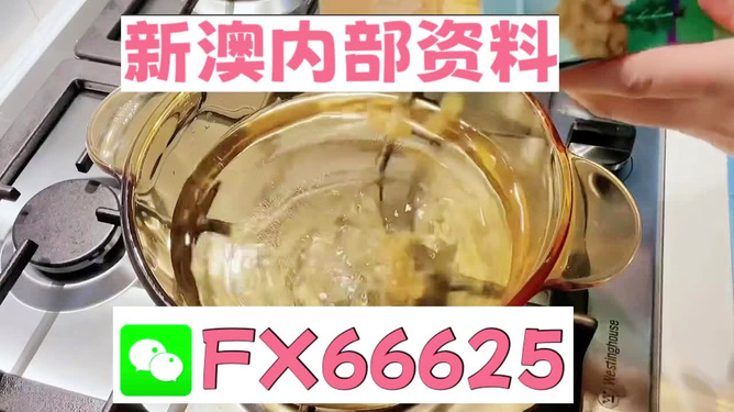 新澳一碼料，深度解析與SEO優化策略，新澳一碼料深度解析與SEO優化策略指南