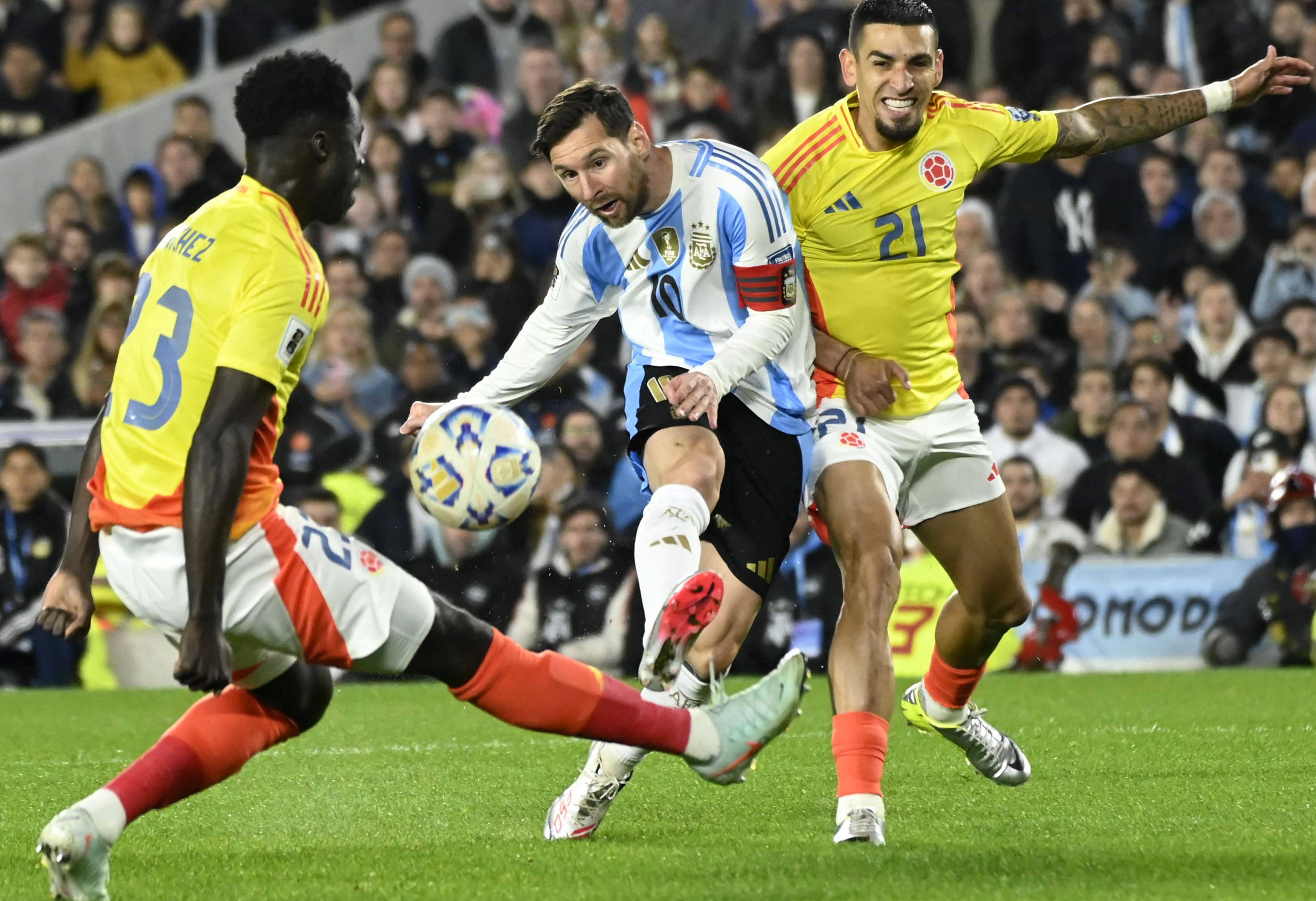 王中王077期一肖特種,深度解析與SEO優化策略,王中王077期生肖特種深度解析與SEO優化策略探討