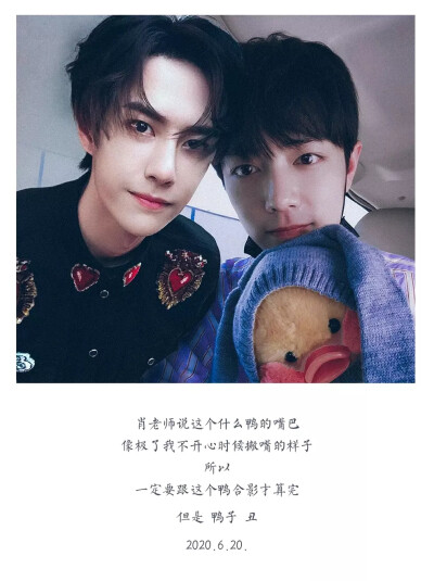 王中王一肖資料一肖王，深度解析與SEO優化文章，王中王一肖資料深度解析與SEO優化策略探討