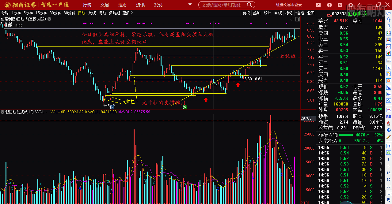 仙琚制藥股票（代碼，002332）深度解析，仙琚制藥股票深度解析（代碼，002332）