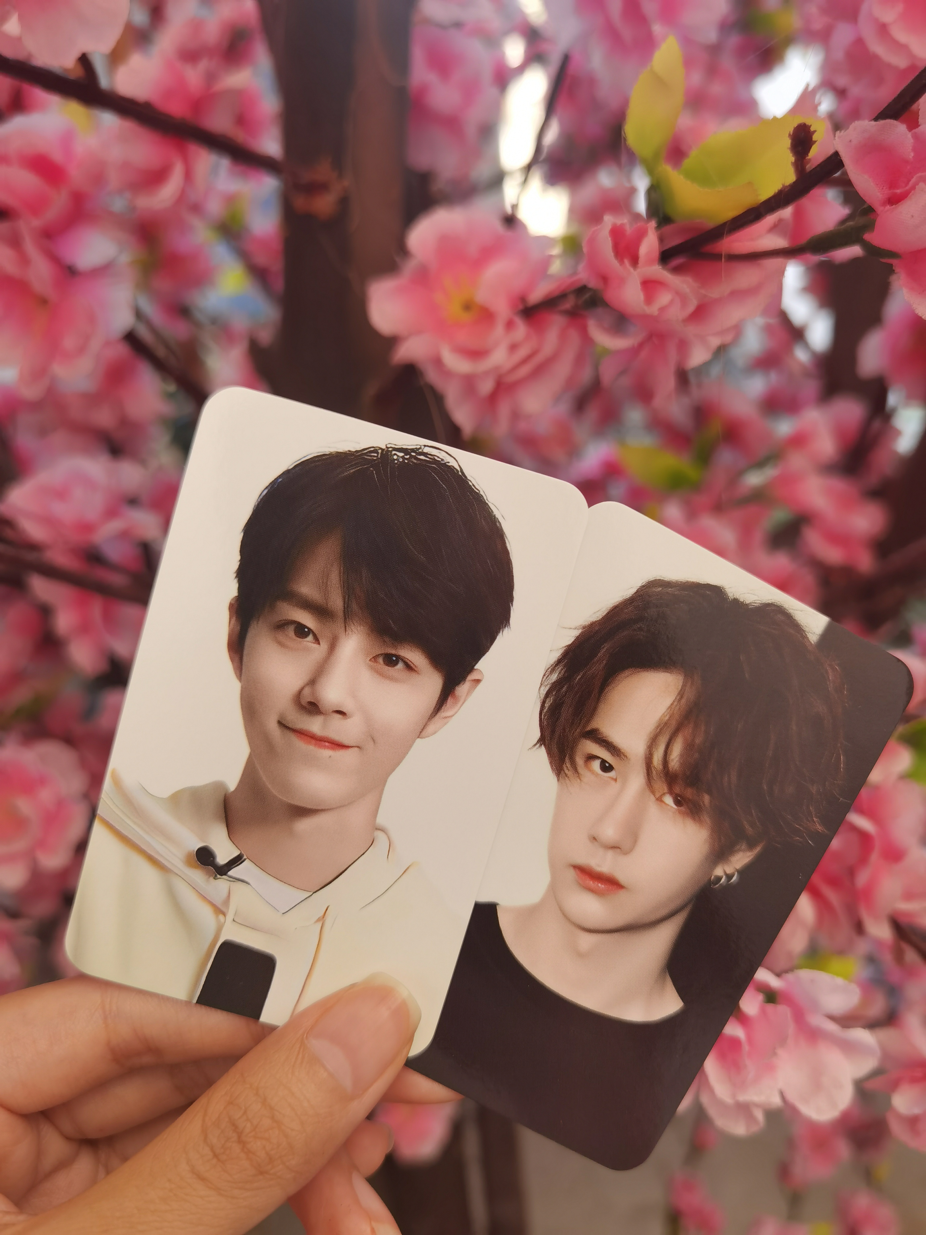 王中王一肖中特一肖精準預測——揭秘生肖運勢的秘密,揭秘生肖運勢,王中王一肖精準預測特選生肖運勢秘密