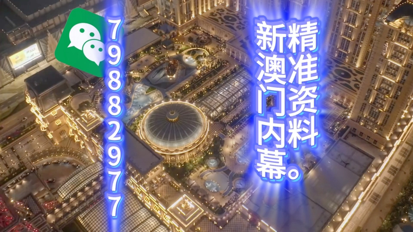 新澳門精準(zhǔn)三肖三碼中特,探索澳門博彩文化的獨(dú)特魅力,澳門博彩文化獨(dú)特魅力探索,精準(zhǔn)三肖三碼中特