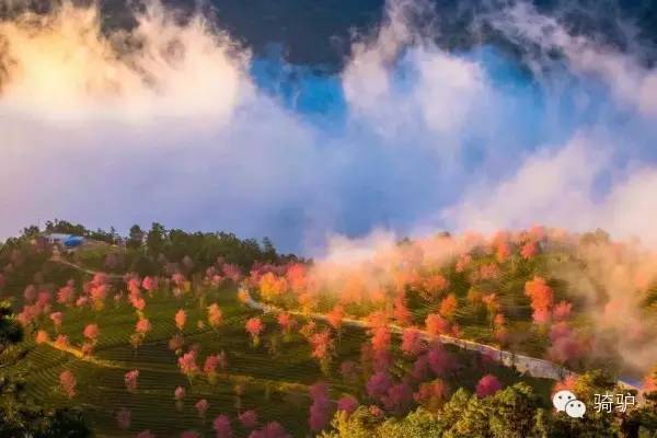十一月與十二月，這些旅游勝地等你來(lái)探索！，十一月與十二月旅游勝地探秘之旅！