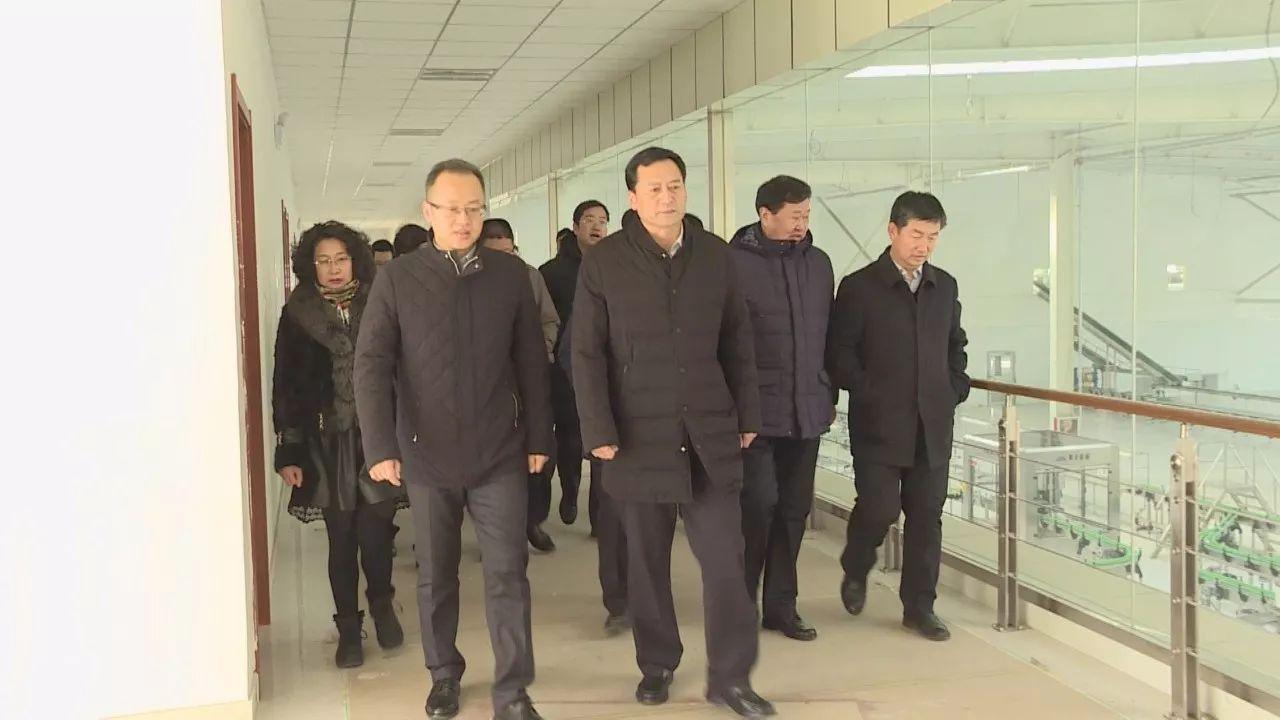 駱駝股份股吧深度解析,探究企業潛力與價值,駱駝股份股吧深度解析,探究企業潛力與價值展望