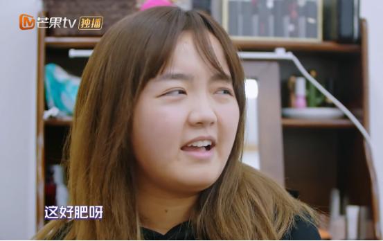 吳昕個人資料簡介及個人經歷,吳昕個人資料簡介與經歷概述