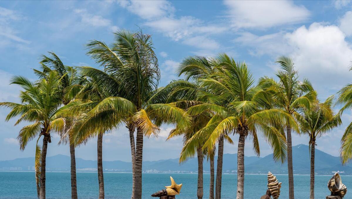 澳門一肖中100%期期準海南特區號，揭秘彩票預測背后的秘密，澳門一肖精準預測彩票背后的秘密，期期準海南特區號揭秘彩票預測之道