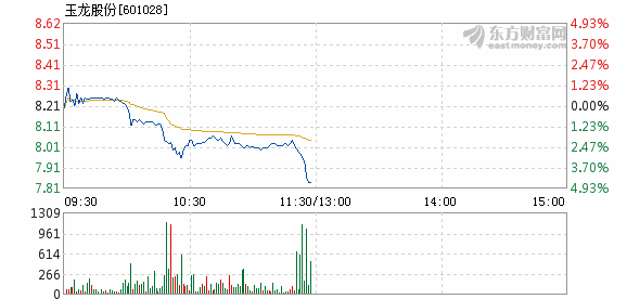 玉龍股份股吧,深度解析與前景展望,玉龍股份股吧深度解析及前景展望